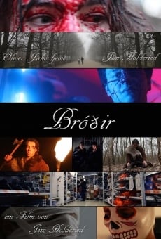 Ver película Bróðir