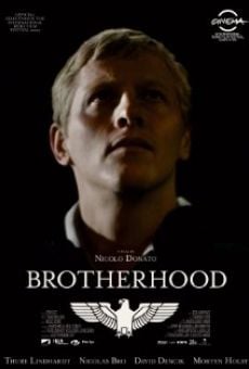 Brotherhood en ligne gratuit