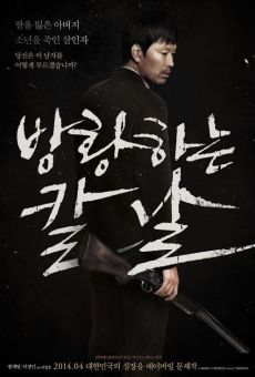 Bang-hwang-ha-neun kal-nal (Broken) online free