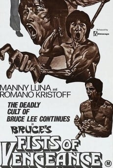 Bruce's Fists of Vengeance stream online deutsch