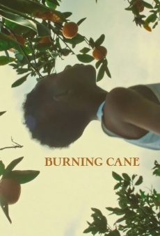 Watch Burning Cane online stream