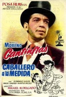 Watch Caballero a la medida online stream