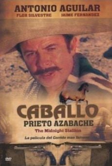 Caballo prieto azabache