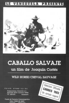 Ver película Caballo salvaje