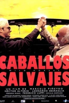 Ver película Caballos salvajes