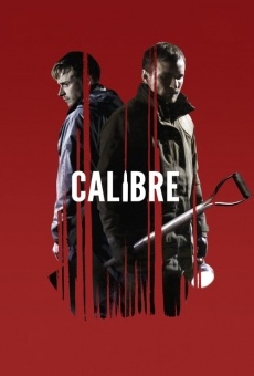 Calibre online streaming