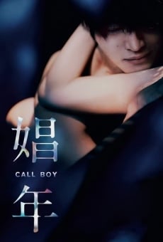 Ver película Call Boy