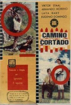 Camino cortado