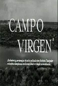 Campo virgen gratis