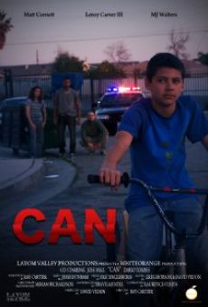 Can online streaming