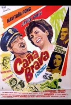 Caña brava online streaming
