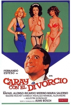 Caray con el divorcio (1982)