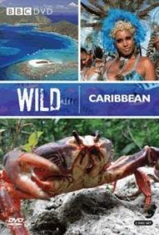 Ver película Caribe salvaje