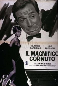 Il magnifico cornuto online free