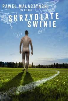 Skrzydlate swinie online streaming