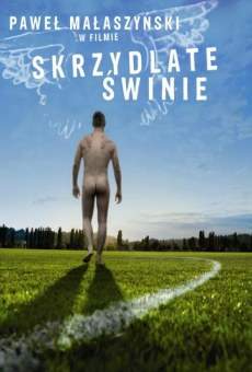 Skrzydlate swinie en ligne gratuit