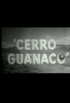 Cerro Guanaco online