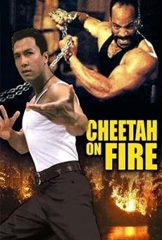 Cheetah On Fire en ligne gratuit