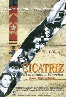 Cicatriz