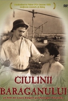 Ver película Ciulinii Baraganului