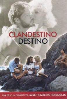 Clandestino destino stream online deutsch