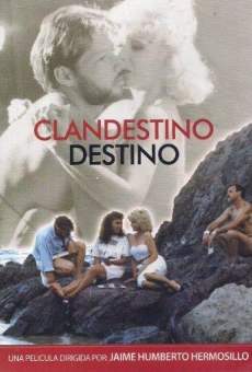 Clandestino destino en ligne gratuit