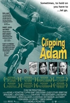 Clipping Adam online