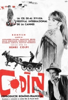 Ver película Codine