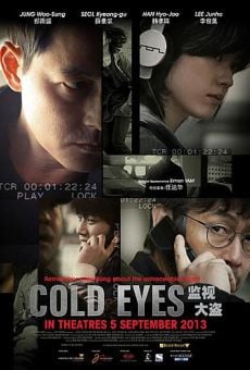 Gamsijadeul - Gam-si-ja-deul (Cold Eyes) online streaming