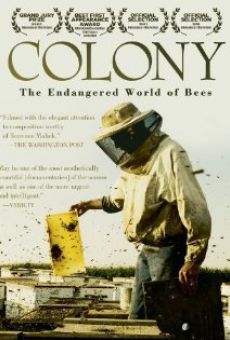 Colony on-line gratuito