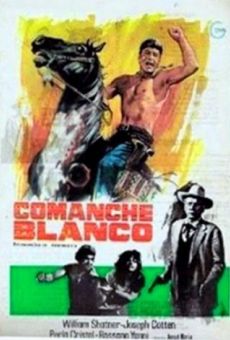 ...e venne l'ora della vendetta online streaming