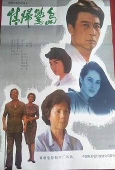 Ver película Coming Back to Xiamen