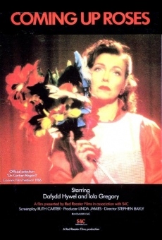 Rhosyn a Rhith online streaming
