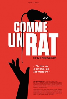 Comme un rat online streaming