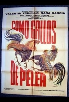 Como gallos de pelea, película completa en español