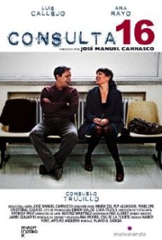 Consulta 16 (2008)