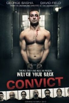 Convict stream online deutsch