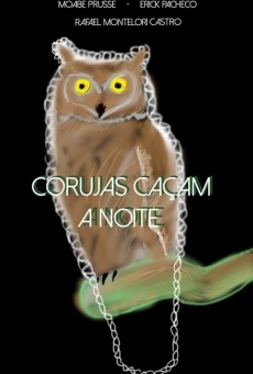 Corujas Caçam A Noite gratis