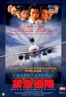 Ver película Crash Landing