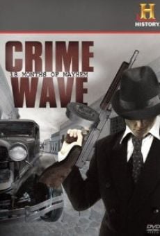 Ver película Crime Wave: 18 Months of Mayhem