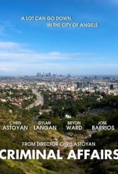 Watch Criminal Affairs online stream