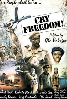 Ver película Cry Freedom