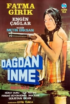 Dagdan inme