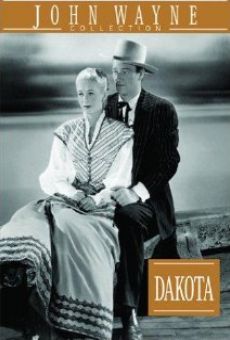 Il cavaliere audace online streaming