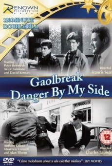 Danger by My Side stream online deutsch