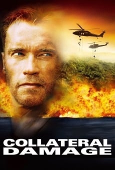 Collateral Damage online kostenlos