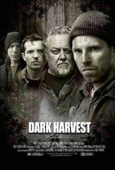 Ver película Dark Harvest