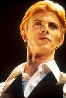 David Bowie: Cinco años online