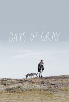 Ver película Days of Gray