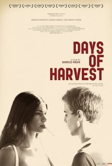 Ver película Días de cosecha